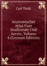 Anatomischer Atlas Fuer Studirende Und Aerzte, Volume 4 (German Edition) - Carl Toldt