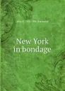 New York in bondage - John D. 1835-1896 Townsend