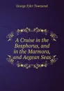 A Cruise in the Bosphorus, and in the Marmora, and Aegean Seas - George Fyler Townsend
