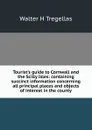 Tourist.s guide to Cornwall and the Scilly Isles: containing succinct information concerning all principal places and objects of interest in the county - Walter H Tregellas