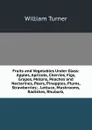 Fruits and Vegetables Under Glass: Apples, Apricots, Cherries, Figs, Grapes, Melons, Peaches and Nectarines, Pears, Pinapples, Plums, Strawberries; . Lettuce, Mushrooms, Radishes, Rhubarb, - William Turner