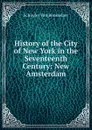 History of the City of New York in the Seventeenth Century: New Amsterdam - Schuyler van Rensselaer