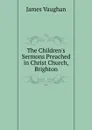 The Children.s Sermons Preached in Christ Church, Brighton - James Vaughan