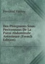 Des Phlegmons Sous-Peritoneaux De La Paroi Abdominale Anterieure (French Edition) - Fernand Vaussy