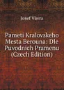 Pameti Kralovskeho Mesta Berouna: Dle Puvodnich Pramenu (Czech Edition) - Josef Vávra