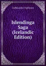 Islendinga Saga (Icelandic Edition) - Guðbrandur Vigfússon