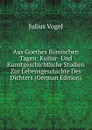 Aus Goethes Romischen Tagen: Kultur- Und Kunstgeschichtliche Studien Zur Lebensgeschichte Des Dichters (German Edition) - Julius Vogel