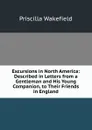 Excursions in North America: Described in Letters from a Gentleman and His Young Companion, to Their Friends in England - Priscilla Wakefield