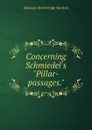 Concerning Schmiedel.s 