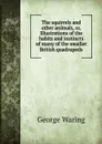 The squirrels and other animals, or, Illustrations of the habits and instincts of many of the smaller British quadrupeds - George Waring
