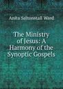 The Ministry of Jesus: A Harmony of the Synoptic Gospels - Anita Saltonstall Ward