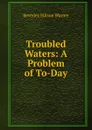 Troubled Waters: A Problem of To-Day - Beverley Ellison Warner