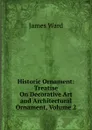 Historic Ornament: Treatise On Decorative Art and Architectural Ornament, Volume 2 - James Ward