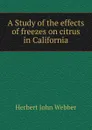 A Study of the effects of freezes on citrus in California - Herbert John Webber