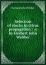 Selection of stocks in citrus propagation / /c by Herbert John Webber - Herbert John Webber