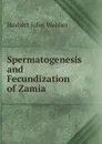 Spermatogenesis and Fecundization of Zamia - Herbert John Webber