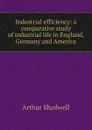 Industrial efficiency: a comparative study of industrial life in England, Germany and America - Arthur Shadwell