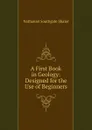 A First Book in Geology: Designed for the Use of Beginners - Nathaniel Southgate Shaler