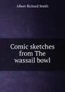 Comic sketches from The wassail bowl - Albert Richard Smith