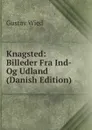 Knagsted: Billeder Fra Ind- Og Udland (Danish Edition) - Gustav Wied