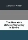 The New York State reformatory in Elmira - Alexander Winter