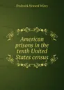 American prisons in the tenth United States census - Frederick Howard Wines
