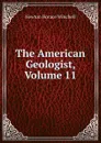 The American Geologist, Volume 11 - Newton Horace Winchell