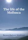 The life of the Mollusca - Bernard Barham Woodward