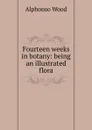 Fourteen weeks in botany: being an illustrated flora - Alphonso Wood