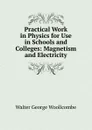 Practical Work in Physics for Use in Schools and Colleges: Magnetism and Electricity - Walter George Woollcombe