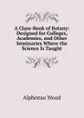 A Class-Book of Botany: Designed for Colleges, Academies, and Other Seminaries Where the Science Is Taught - Alphonso Wood