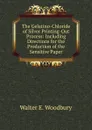 The Gelatino-Chloride of Silver Printing-Out Process: Including Directions for the Production of the Sensitive Paper - Walter E. Woodbury