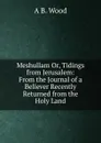 Meshullam Or, Tidings from Jerusalem: From the Journal of a Believer Recently Returned from the Holy Land - A B. Wood