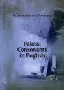 Palatal Consonants in English - Benjamin Duryea Woodward