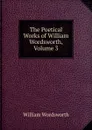 The Poetical Works of William Wordsworth, Volume 3 - Wordsworth William