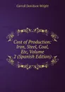 Cost of Production: Iron, Steel, Coal, Etc, Volume 2 (Spanish Edition) - Wright Carroll Davidson