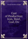 Cost of Production: Iron, Steel, Coal, Etc - Wright Carroll Davidson