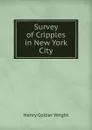 Survey of Cripples in New York City - Henry Collier Wright