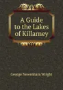 A Guide to the Lakes of Killarney - George Newenham Wright