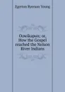 Oowikapun; or, How the Gospel reached the Nelson River Indians - Egerton Ryerson Young