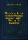 Three boys in the wild North land: Summer. With . illus. by J.E. Laughlin - Egerton Ryerson Young