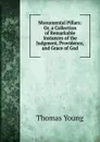 Monumental Pillars: Or, a Collection of Remarkable Instances of the Judgment, Providence, and Grace of God - Thomas Young