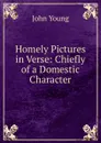 Homely Pictures in Verse: Chiefly of a Domestic Character - John Young