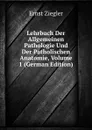 Lehrbuch Der Allgemeinen Pathologie Und Der Patholischen Anatomie, Volume 1 (German Edition) - Ernst Ziegler