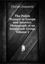 The Polish Peasant in Europe and America: Monograph of an Immigrant Group, Volume 2 - Florian Znaniecki