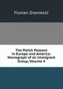 The Polish Peasant in Europe and America: Monograph of an Immigrant Group, Volume 4 - Florian Znaniecki