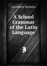 A School Grammar of the Latin Language - Leonhard Schmitz