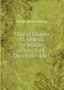 Trial of Charles M. Jefferds for Murder, at New York, December, 1861 - Charles Edwin Wilbour