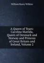 A Queen of Tears: Caroline Matilda, Queen of Denmark and Norway and Princess of Great Britain and Ireland, Volume 2 - William Henry Wilkins