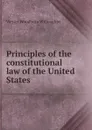 Principles of the constitutional law of the United States - Westel Woodbury Willoughby